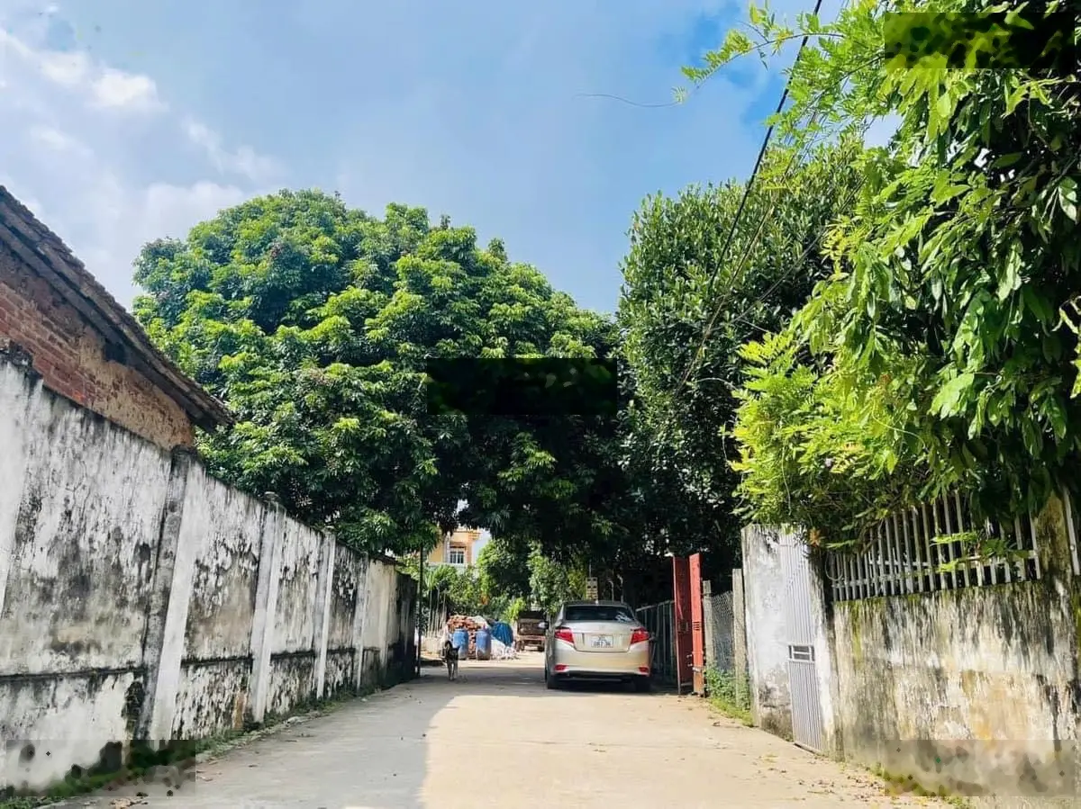 Lô góc 2 mặt tiền 100m2 Thọ Xuân, Đan Phượng