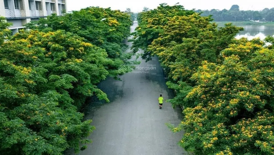 Tổng hợp quỹ căn chuyển nhượng GIÁ TỐT tháng 10 tại Ecopark: