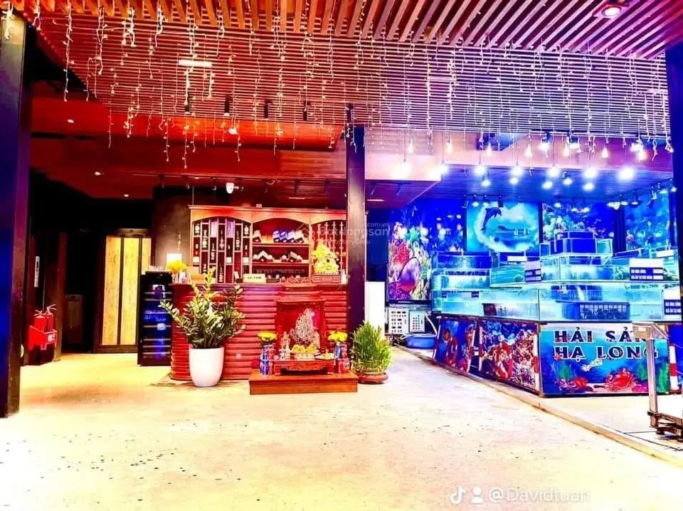 Building VIP khu đấu giá Tứ Hiệp , Thanh Trì DT 230m x7 tầng, MT 12.8m giá chỉ 59.9 tỷ