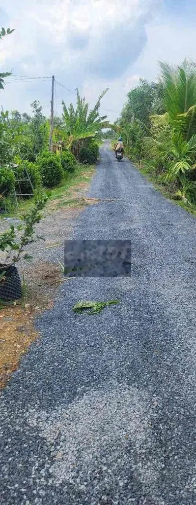 1000m2 đường ô tô view kênh cách nhựa Trí Đức 100m tiện ích xung quanh