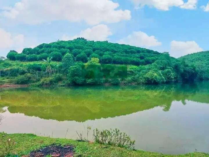 Bán lô đất tại Quyết Thắng, Lạc Sơn, Hòa Bình. Diện tích 15000m2