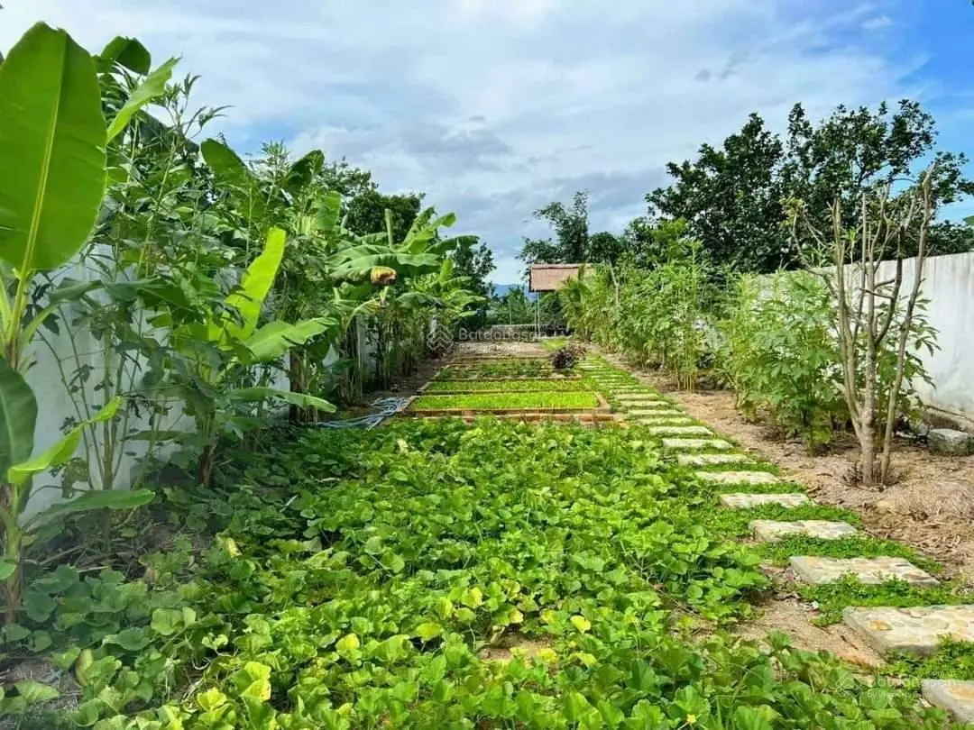 Nhà cần bán lô đất thổ cư cách TP Nha Trang chỉ 8 km