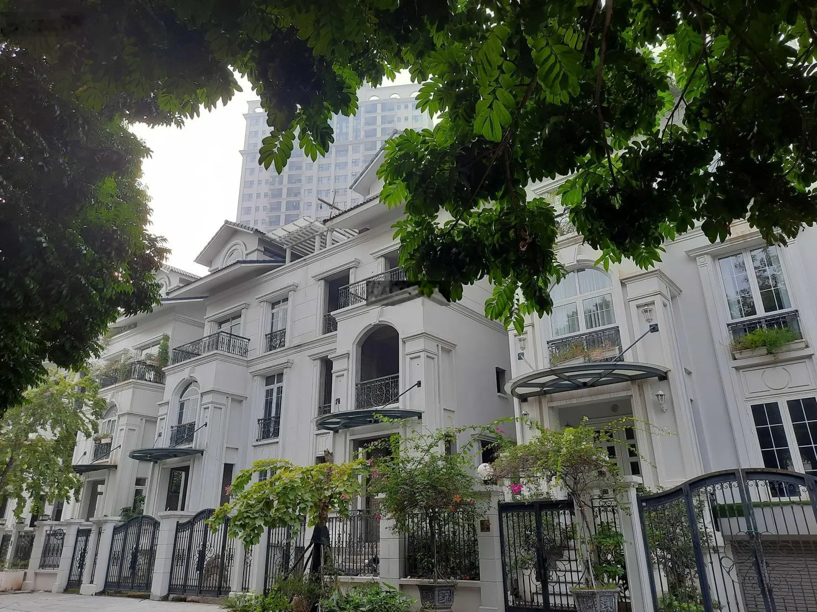 Bán rất gấp biệt thự lô góc Võ Chí Công, Tây Hồ: 235m2, 4.5 tầng + hầm. 49 tỷ TLsiêu rẻ