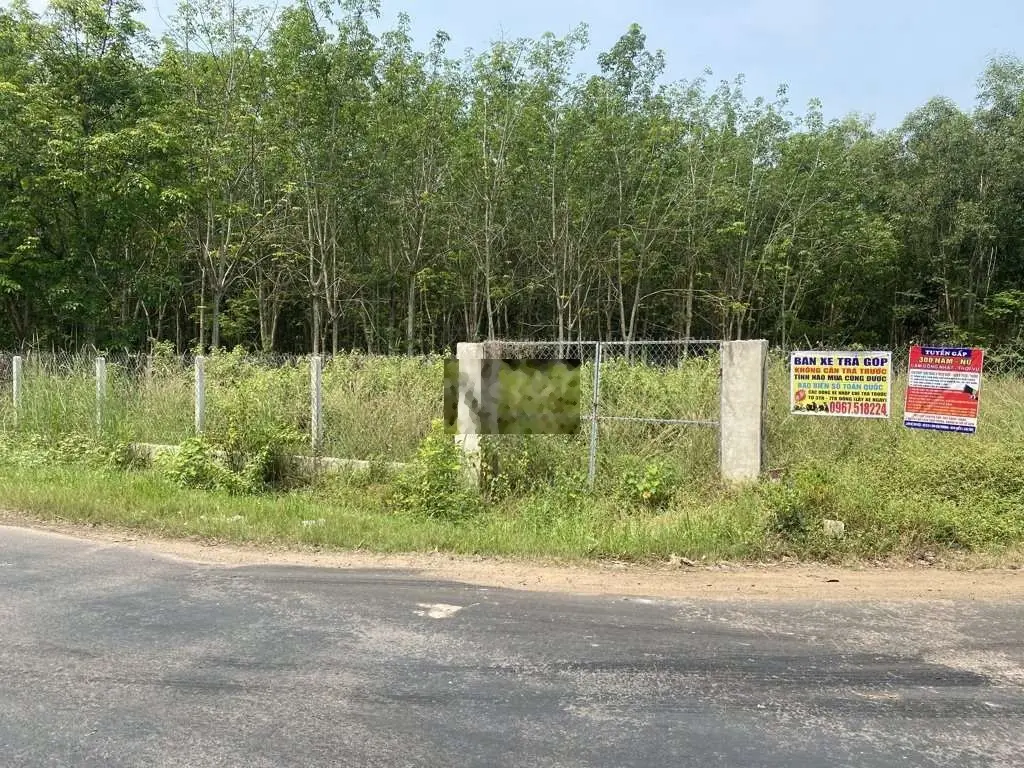 Đất 1002,1m2- 155tr ở Lộc Ninh-Bình Phước, SHR, thổ cư 100m2