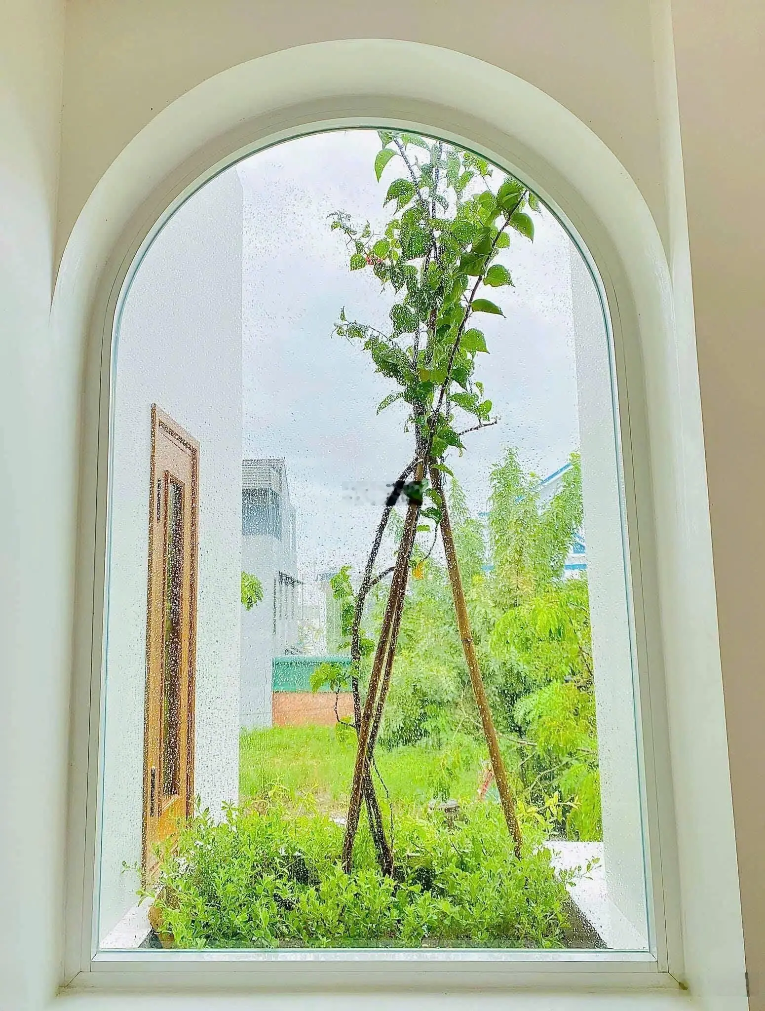 Siêu phẩm tầm trung đẹp không tì vết nằm ngay Lý Thái Tổ, Q10/ 3 tỷ 2/ 50m2 SHR. HĐT 14tr/th