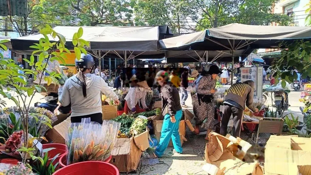 Nhà Bình Chánh 96,9m2 - Giá 800 triệu - Đang cho thuê 8 triệu / tháng - Sổ Hồng riêng