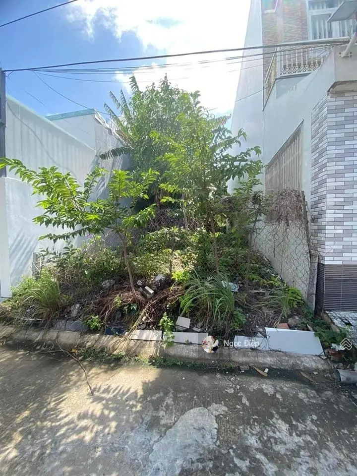 Bán gấp miếng đất Đ. Bùi Thị Trường, Phường 5 gần TT Kiểm soát bệnh tật Bạc Liêu, 120m2/550tr, SHR