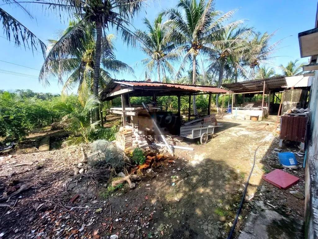 bán đất vườn tặng kèm nhà ở bình phú 1549m2 có thổ cư