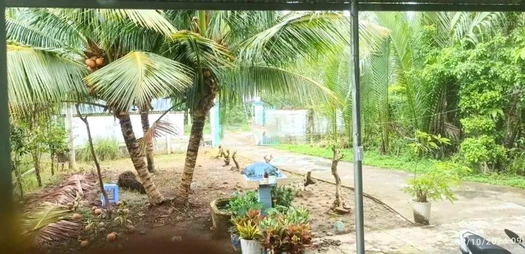 Bán đất tại Âu Cơ, Mỹ Thạnh An, Bến Tre, giá tốt 4,96 tỷ, 850m2