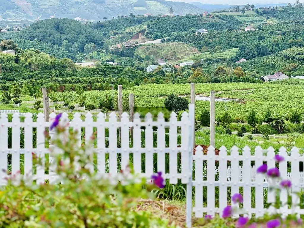 Đất nghỉ dưỡng cách Đà Lạt 28km view đồi thông săn mây