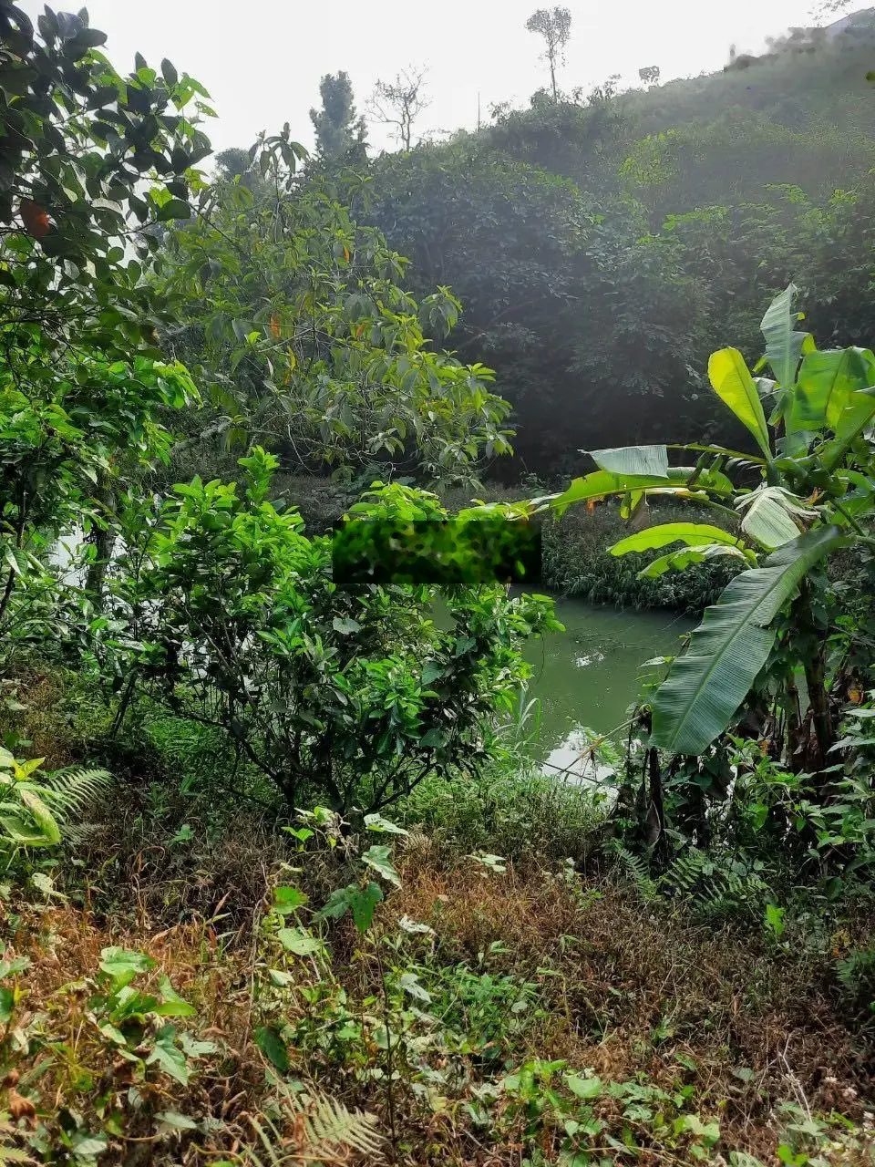 Chuyển nhượng lô đất 22000m tại Lương Sơn, Hoà Bình, LH: 0989 342 ***