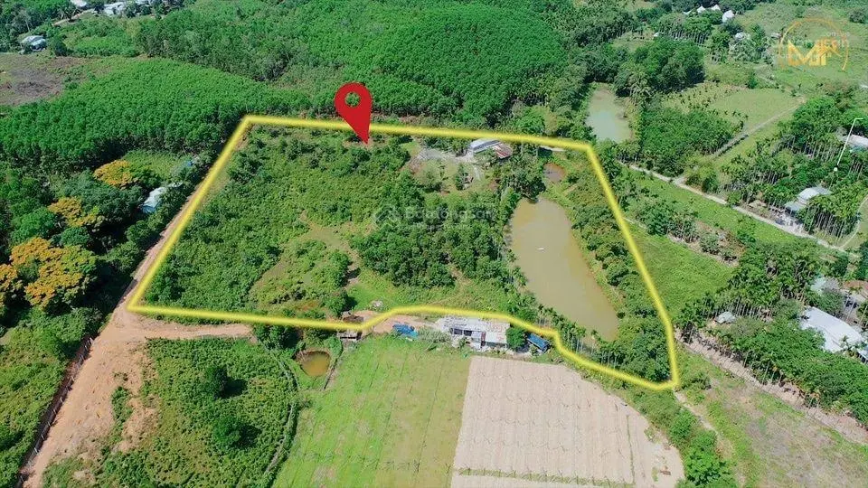 Cần bán nhà vườn rộng 1,5ha gần KDL Bà Nà Có sẳn farm cho khách lên chơi ở lại tiện nghi đầy đủ