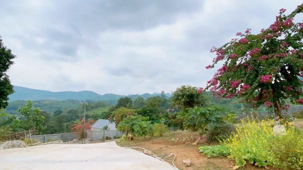 Chỉ hơn 2 triệu/m2 đất siêu sinh lợi tại Thị Trấn Lương Sơn, diện tích 4640m2 view cao thoáng