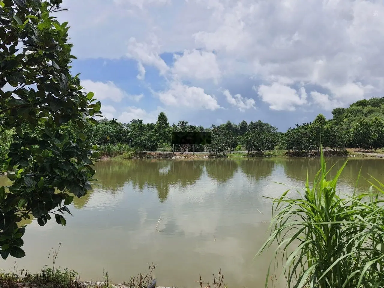 Chuyển nhượng 20.118m2 (hơn 2ha) đất thổ cư giá rẻ phù hợp xây nghỉ dưỡng homestay tại Lương Sơn