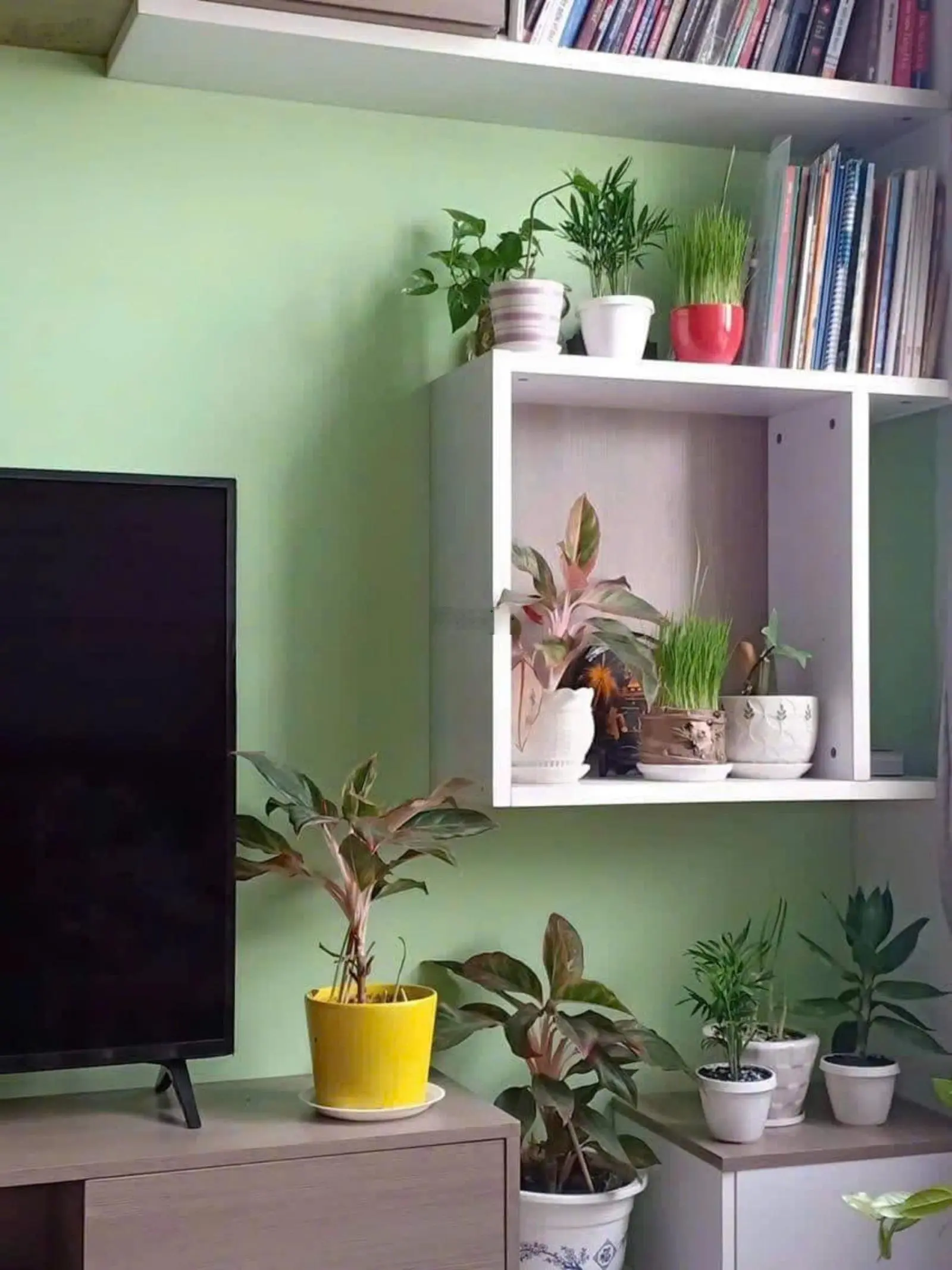 Sunview Town căn studio 45m2 giá 1tỷ55, đã có sổ hồng, giá rẻ nhất thị trường khu vực Thủ Đức
