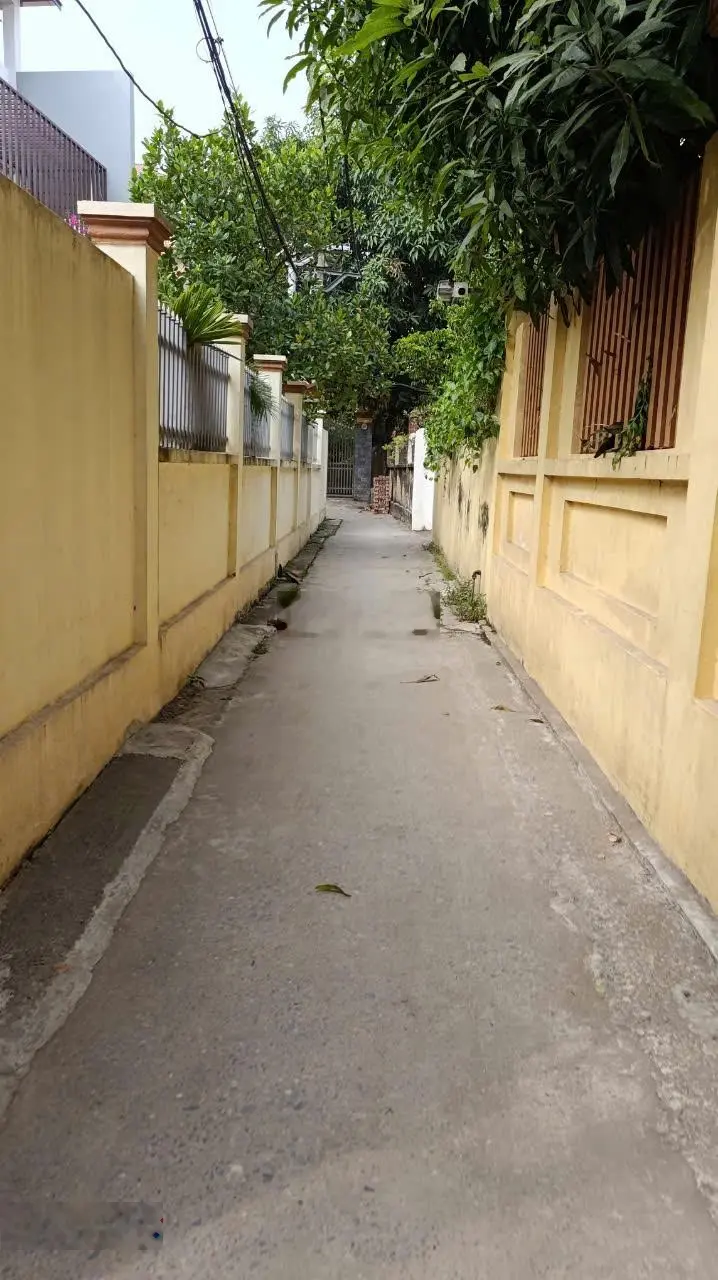 Bán 60m2 đất Lại Đà, Đông Hội, mặt tiền 5.36m, ngõ ô tô.