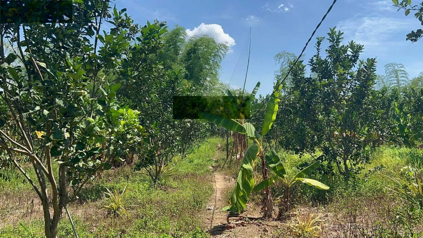 Bán đất giáp sông rất đẹp làm du lịch trung tâm huyện Khánh Vĩnh giá rẻ LH 0788 558 ***