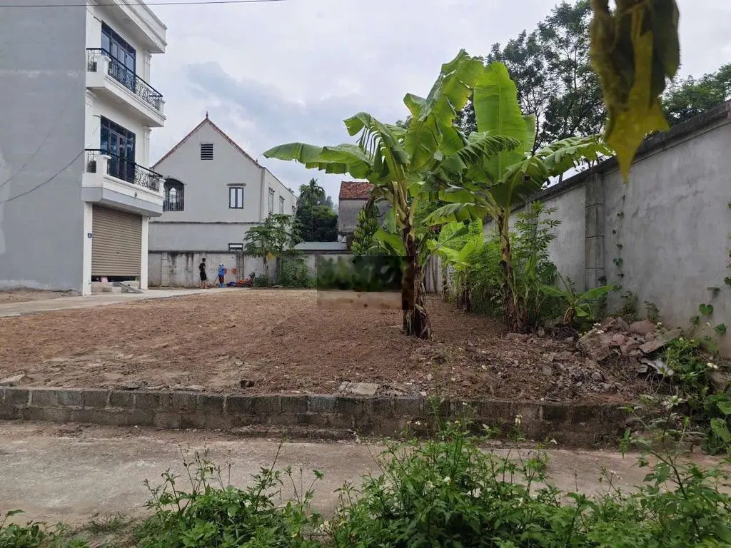 60m_ Đất Tự Nhiên - Thường Tín - Hà Nội