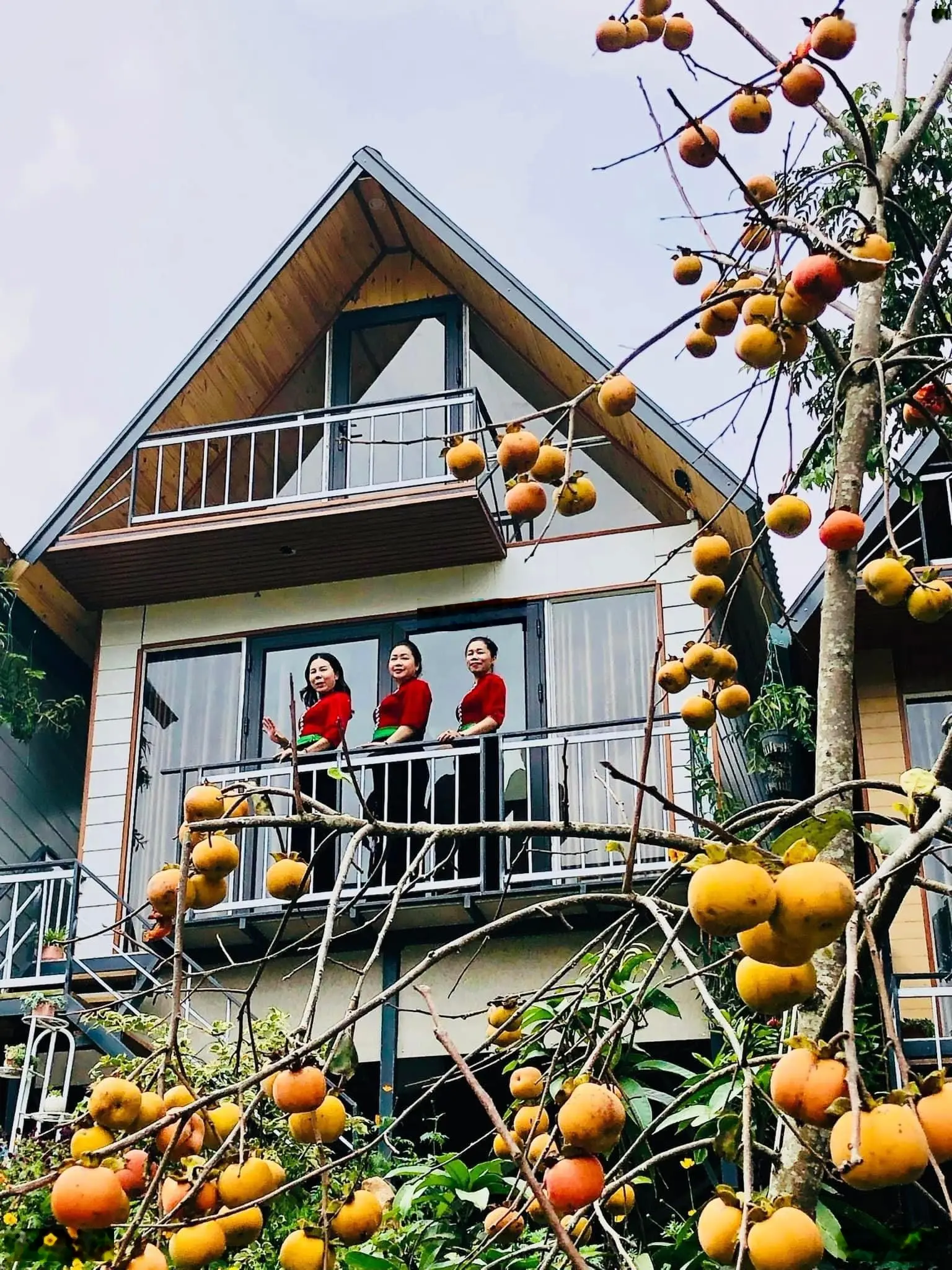 Bán Homestay xinh đẹp có 5 căn bungalow 2 nhà đất kiểu Mông đang kinh doanh hiệu quả