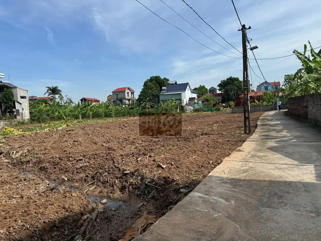 Cần bán đất với giá 3,5 triệu/m² tại xã Song Giang, Gia Bình, Bắc Ninh