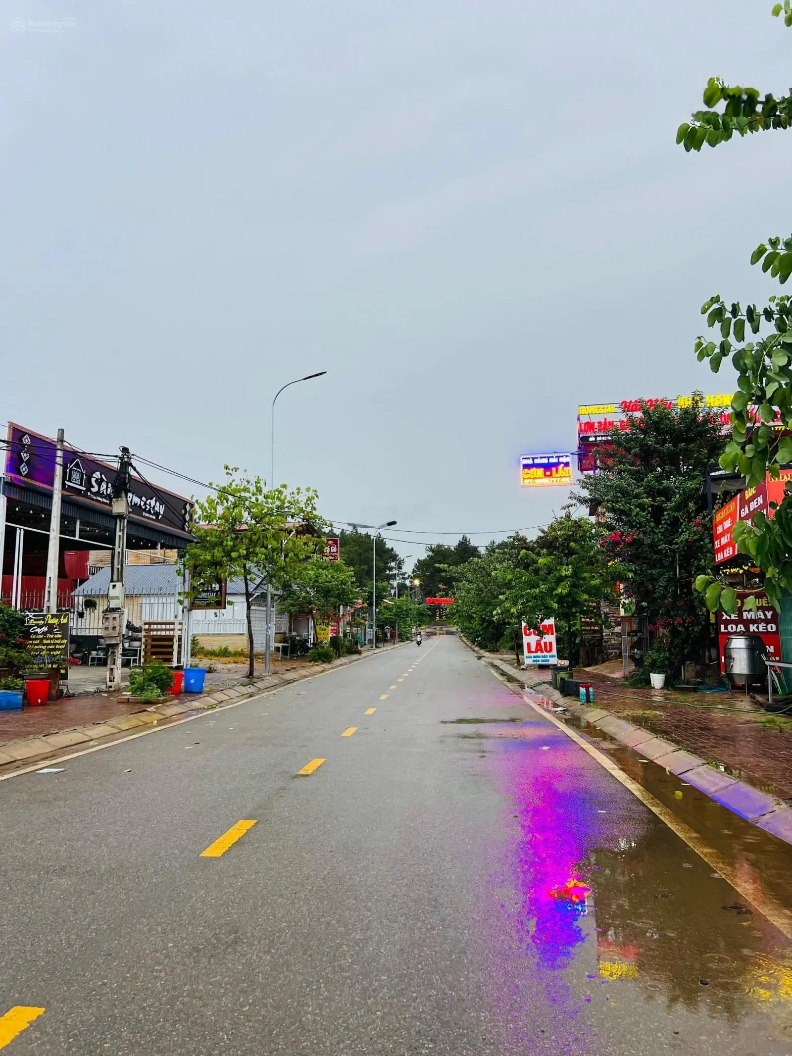 CC bán đất rừng thông Bản Áng, Mộc Châu, Sơn La, 2.100m2. MT 35m, full thổ cư, đường to KD sầm uất