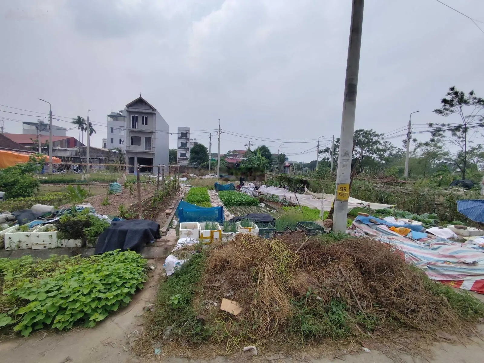 Bán 54m MT gần 4m đất đấu giá X1 xã Lại Yên. Đường oto thông, gần Hồ thoáng mát. Sổ đỏ chính chủ.