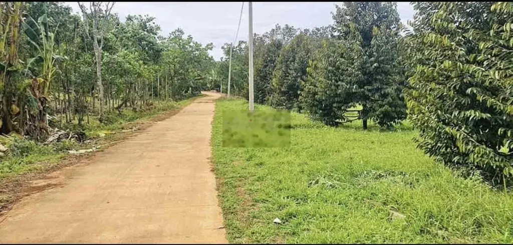 Đất hơn 3000m2 đất vuông vứt giá cả hợp lý