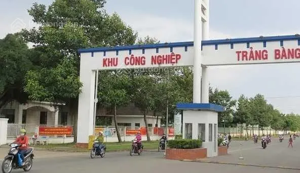 Bán gấp lô đất 120m2 giá 855 triệu đường Nguyễn Trọng Cát, Thị Xã Trảng Bàng, Tây Ninh, SHR