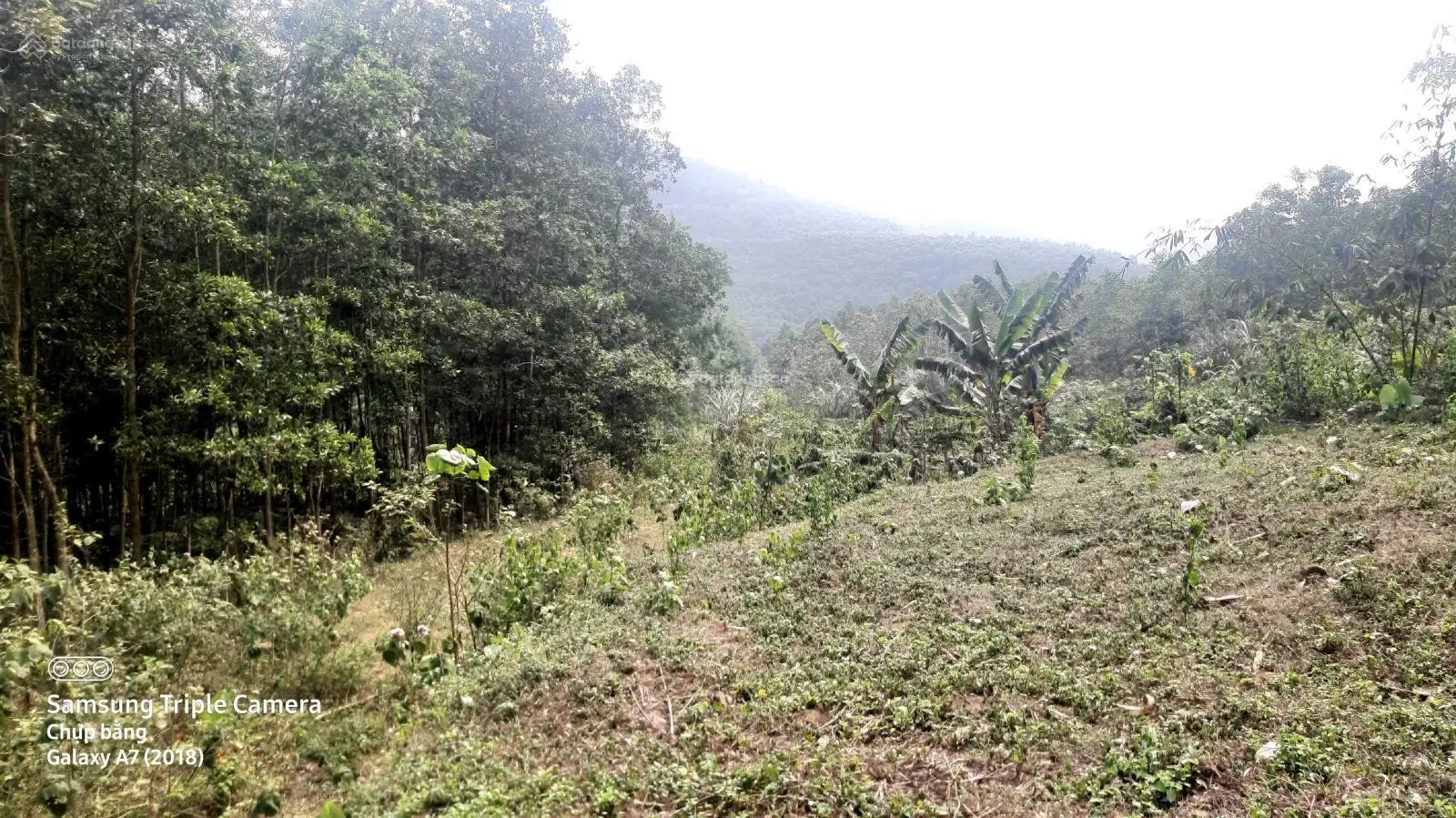 Bán 7.000 m2 đất view đẹp cách Hội nghị Quốc gia 50 km