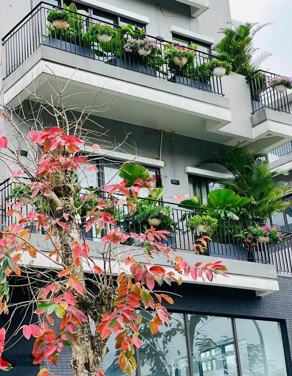 Bán shophouse view Hồ Thiên Nga tại The Plaza [HV33], Eco Central Park Vinh, 9,5 tỷ, 108m2