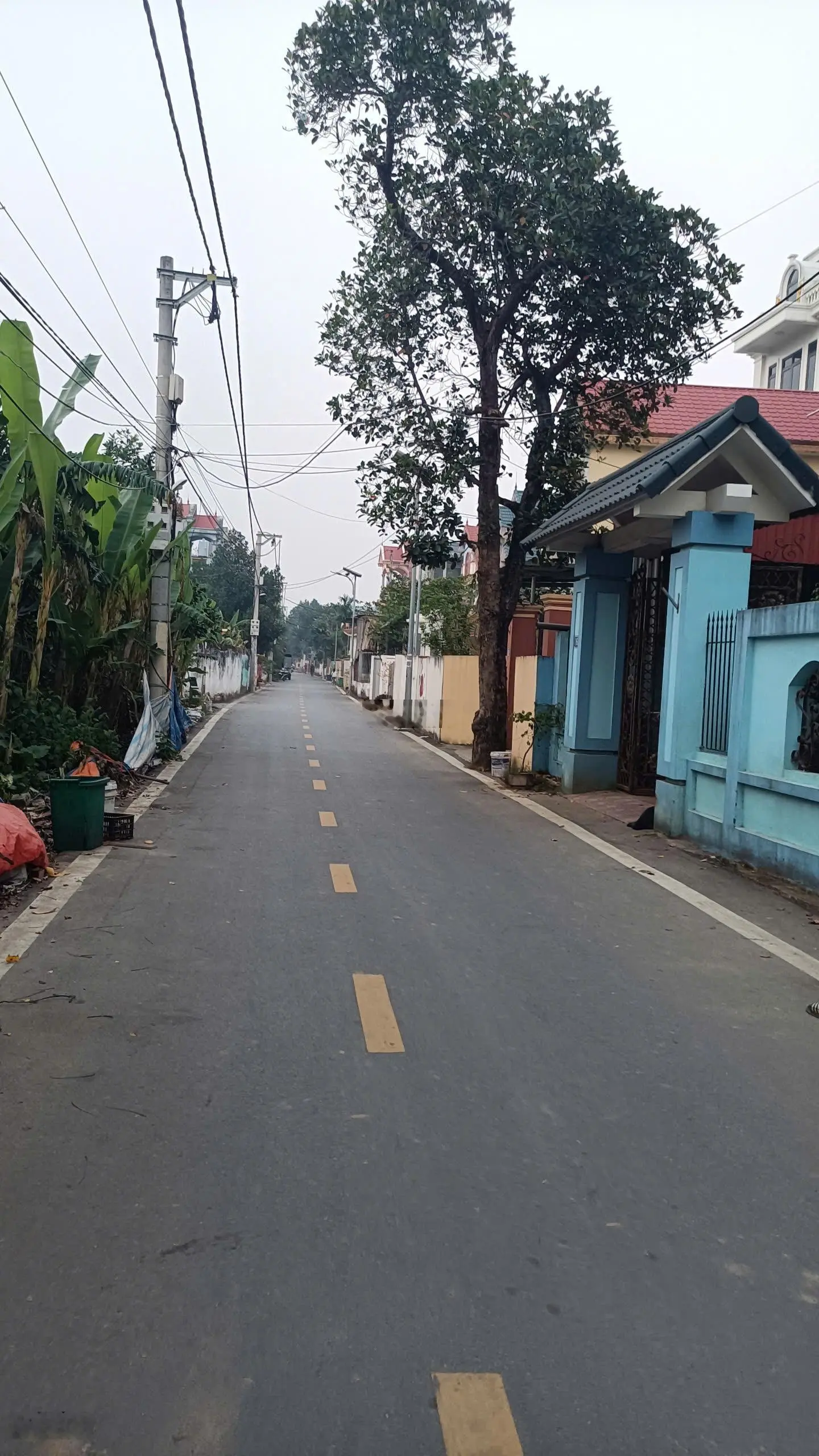Bán đất tặng biệt thự 3 tầng ở xã trung châu