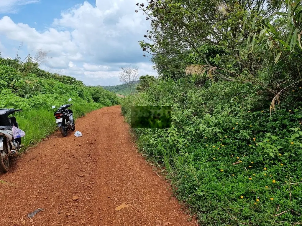 CHÍNH CHỦ BÁN LÔ ĐẤT NGHĨ DƯỠNG, VIEW ĐẸP, GẦN ĐÀ LẠT, GẦN CAO TỐC