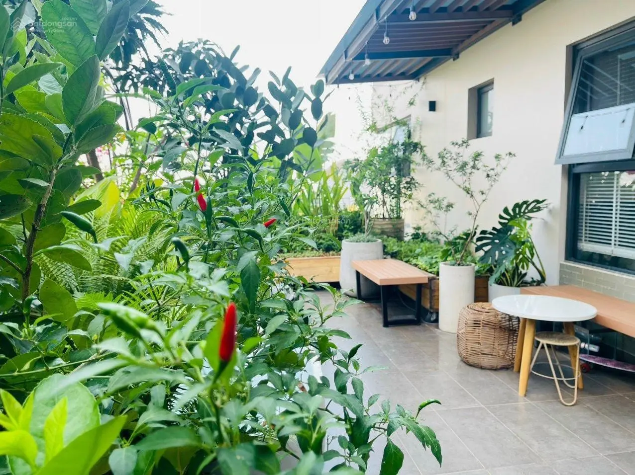 Khu căn hộ có sổ hồng, mở bán 2PN 2WC, mua trực tiếp sàn chủ đầu tư, CK khủng đến 600triệu trong T6