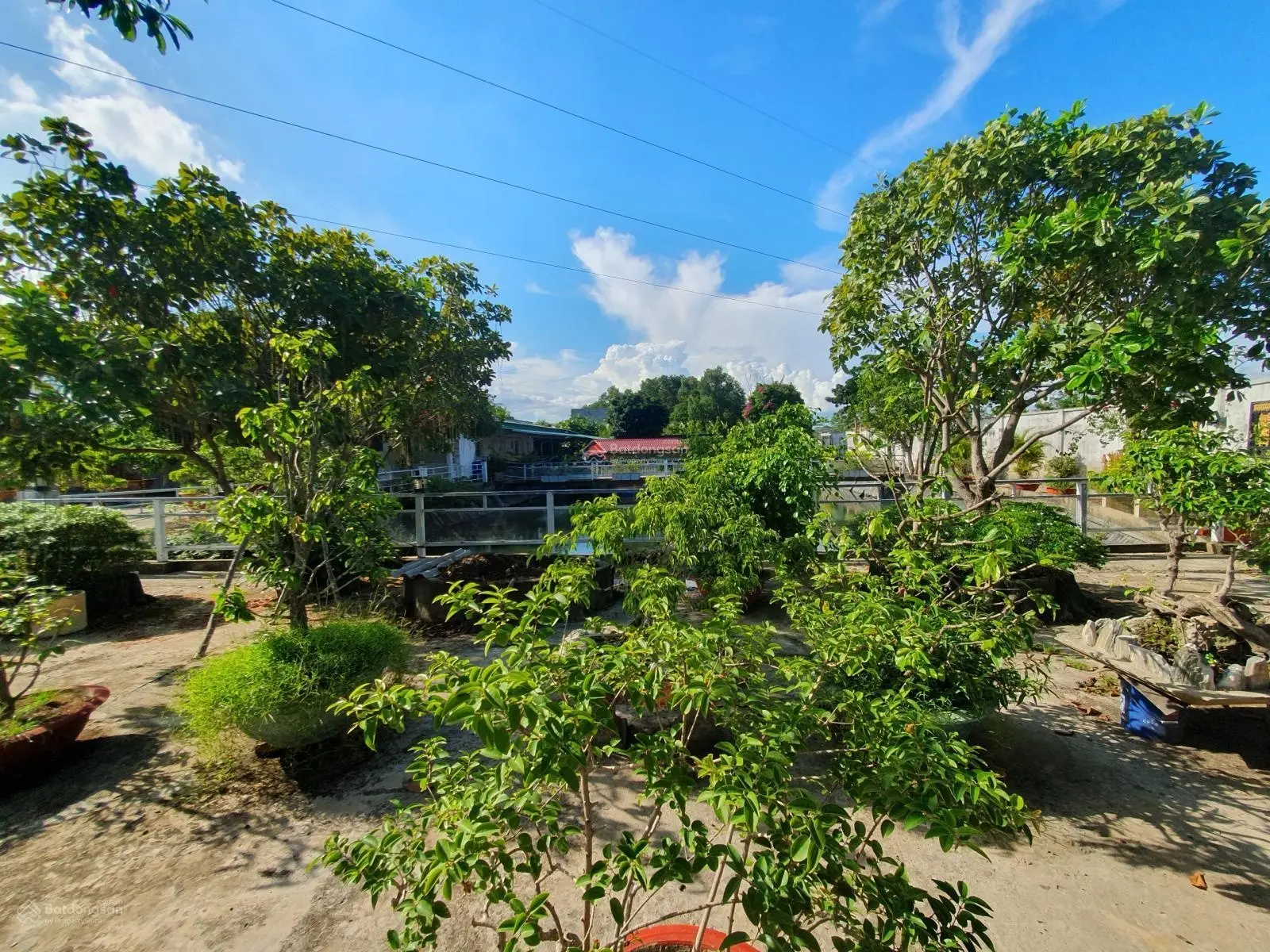Giảm 1,5 tỷ bán gấp nhà vườn nghỉ dưỡng 2600m2 tại thị trấn Cần Giuộc, góc 2 mặt tiền đường