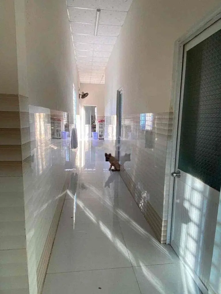 NHÀ BỜ KÈ PHƯỜNG 2 Tp. Vĩnh Long Oto tới nhà GIÁ SIÊU NGỘP