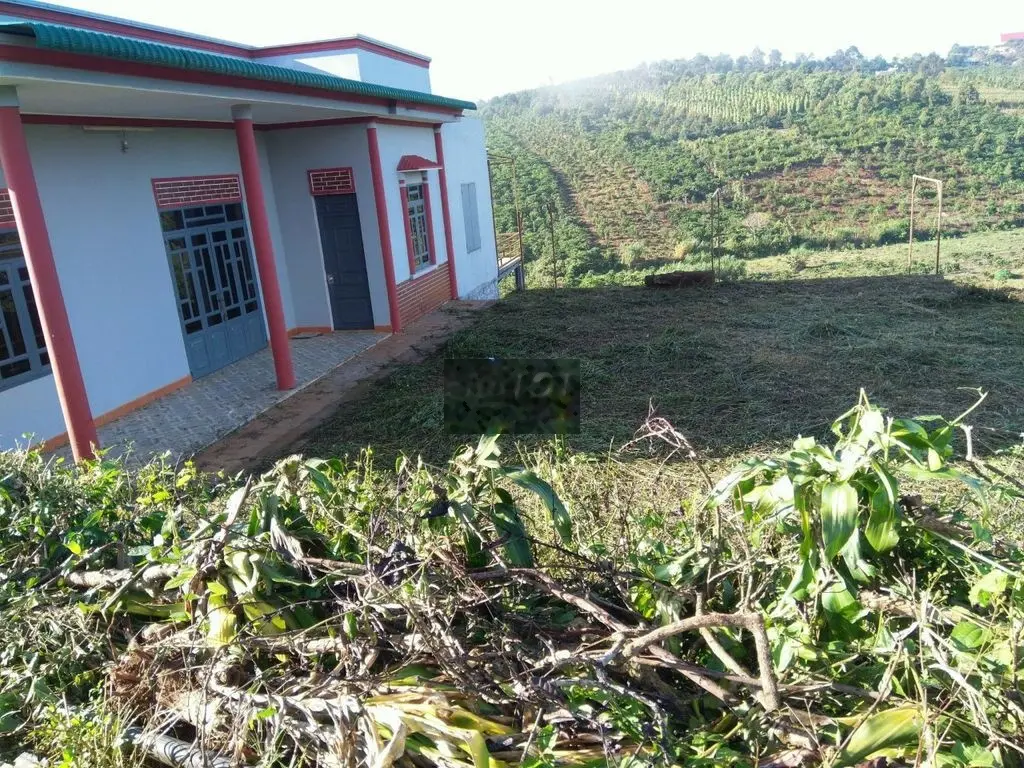 Đất thổ cư 400m2, giá trong tháng,cần vốn về SG làm ăn, nhà ở ngay.