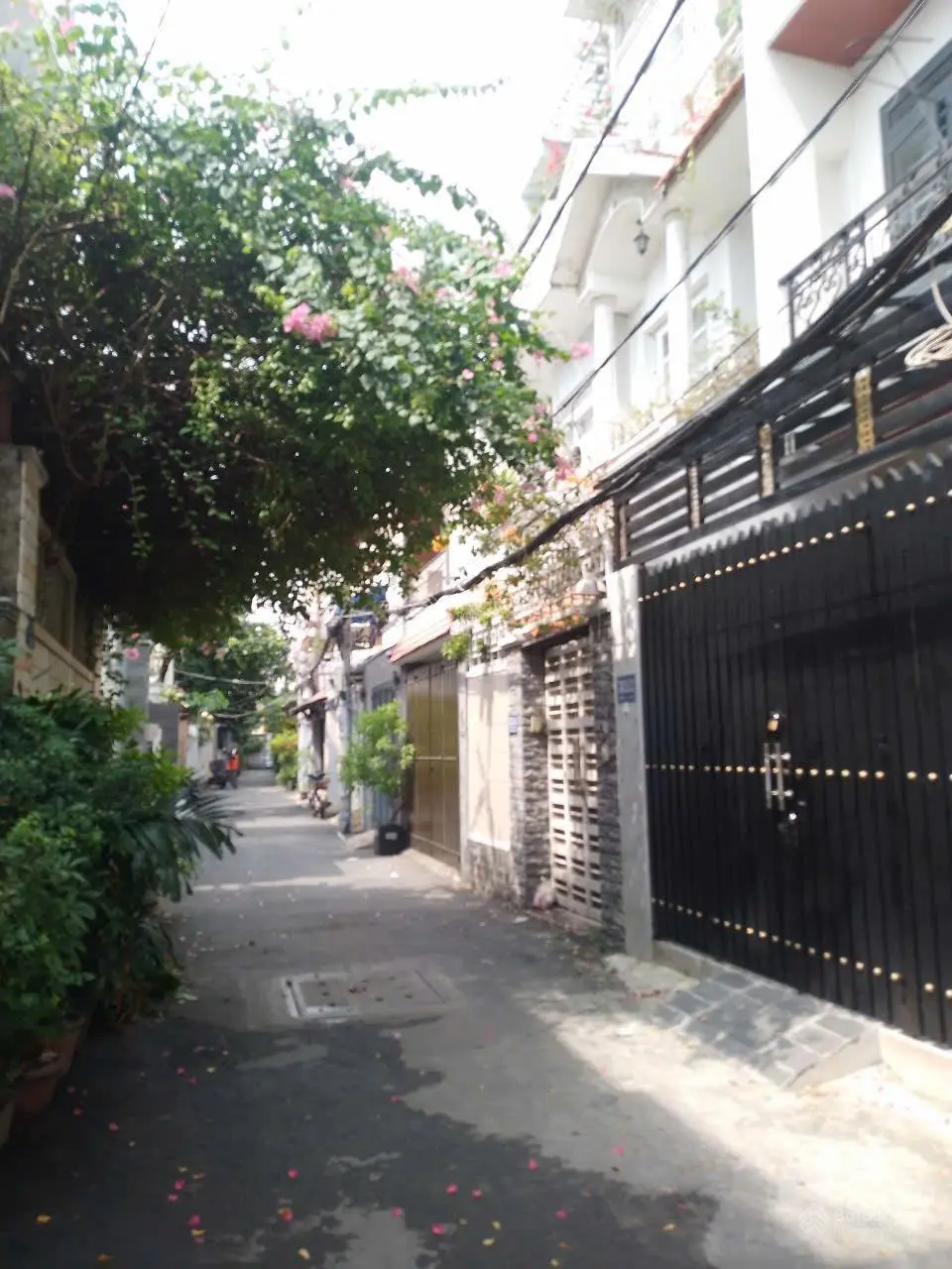 Bán đất tặng nhà 95m2 có 7,6 tỷ Lê Đức Thọ Phường 17 Gò Vấp TP. Hồ Chí Minh