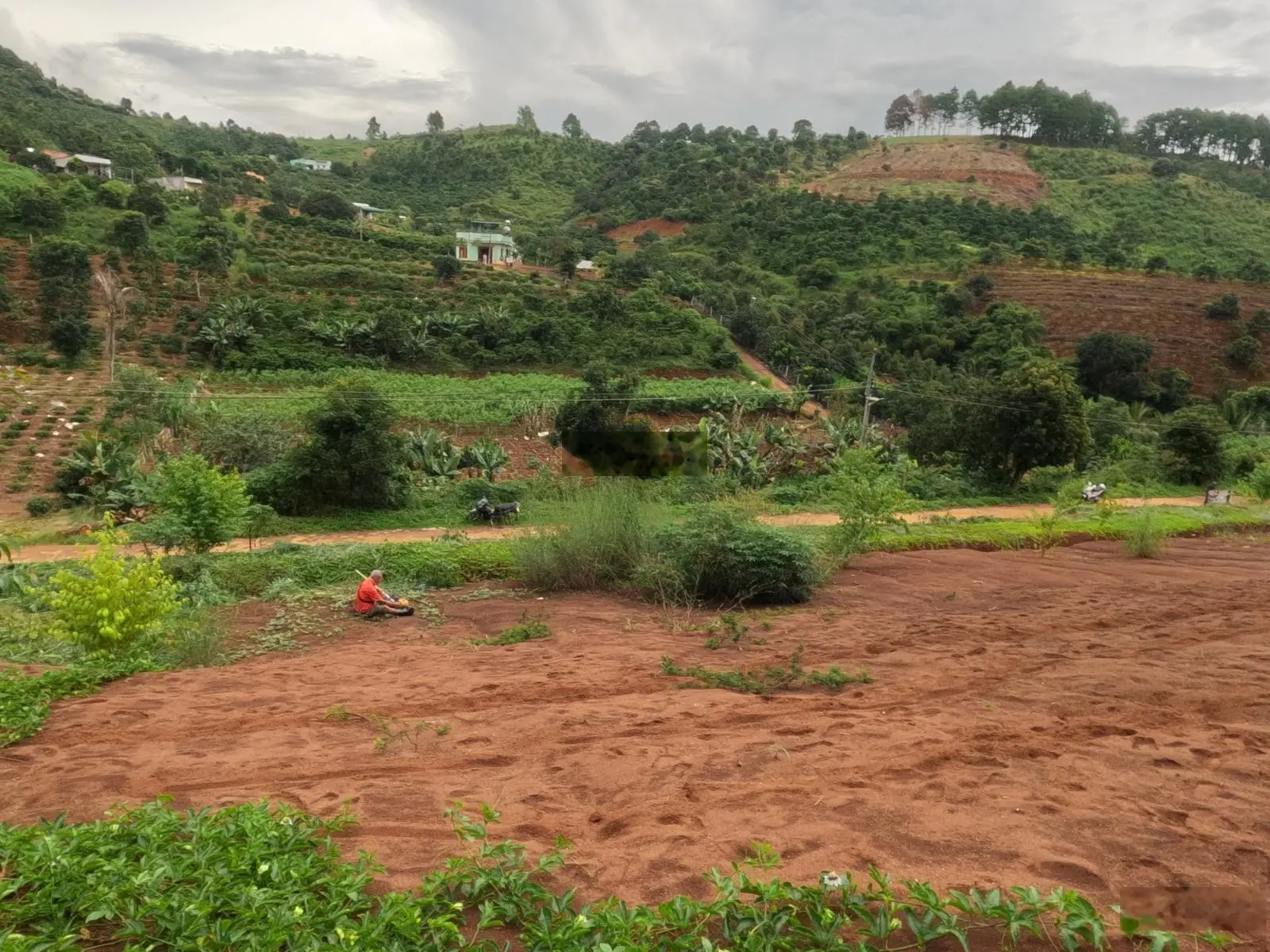 Chính chủ bán đất Lâm Hà view Đồi Thông, 10x44.8m, vị trí trung tâm Nam Ban, cách Đà Lạt 7km