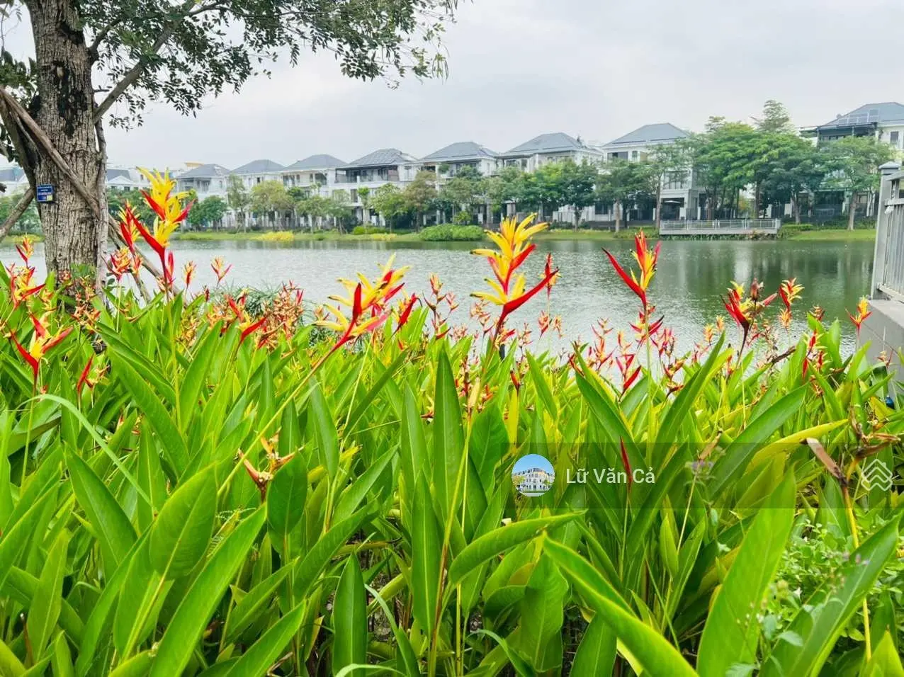 Bán gấp nhà phố Lakeview City 1 căn duy nhất full nội thất giá chỉ 13 tỷ 3 lầu 4PN LH 0907860179