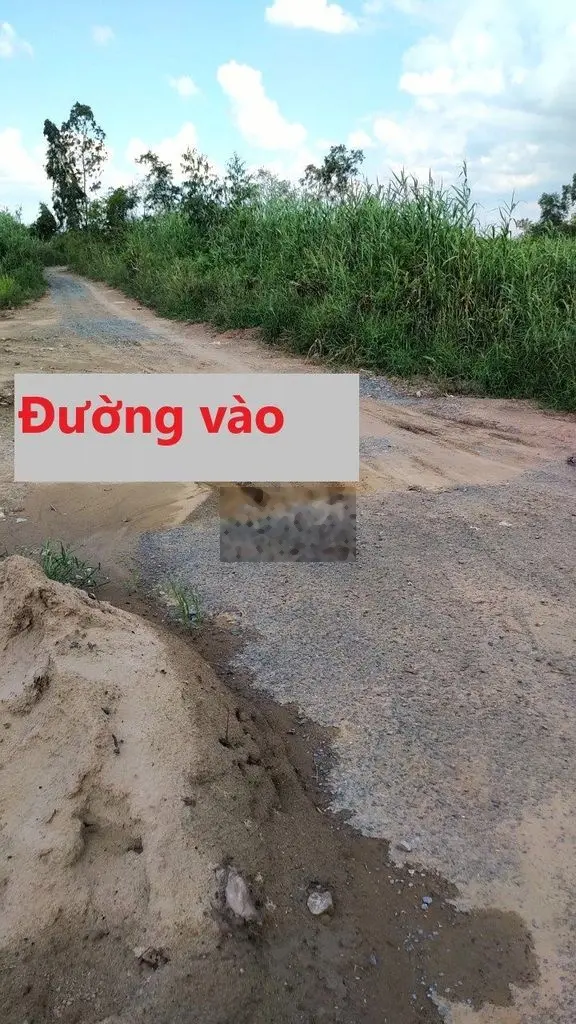 Bán đất liền kề khu dân cư TMDV Tân Phước Tiền giang