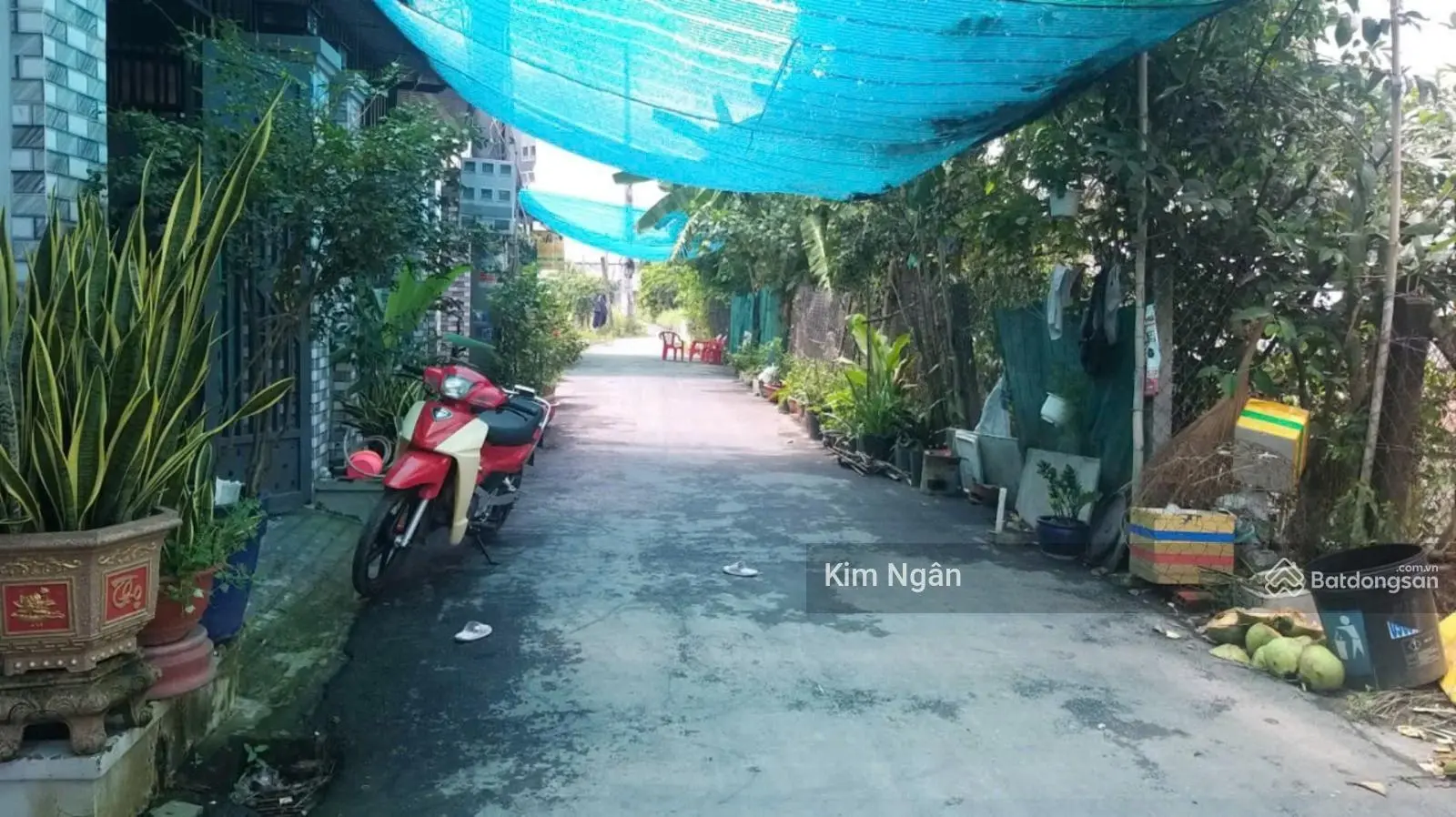 Bán đất tặng nhà !! kế bên kcn cầu tràm, mặt tiền rộng rãi, kinh doanh đông đúc. lh 0898 038 ***