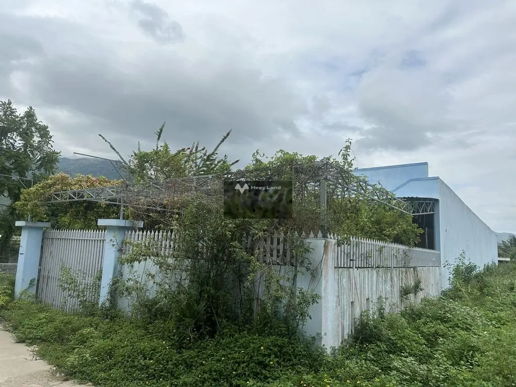 Đất sổ đỏ 427,7m2 - có nhà 200m2 - ở Phước Đồng, Nha Trang