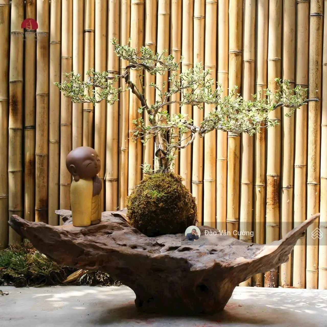 Bán nhà trung tâm hành chính gần trường Việt Anh TP Dĩ An Bình Dương, diện tích 121m2 DTS 390m2