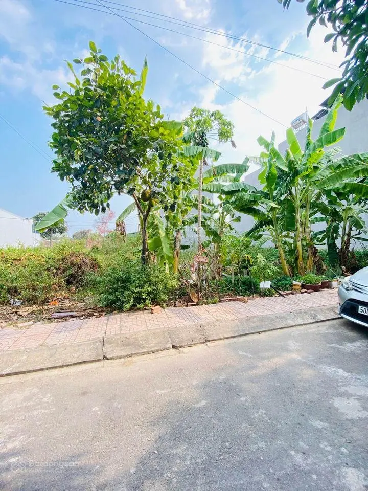 Sở hữu lô đất đẹp đầu tư Nguyễn Duy Trinh Long Trường Quận 9 DT 60m2 SHR, giá 3,29tỷ LH 0389 738 ***