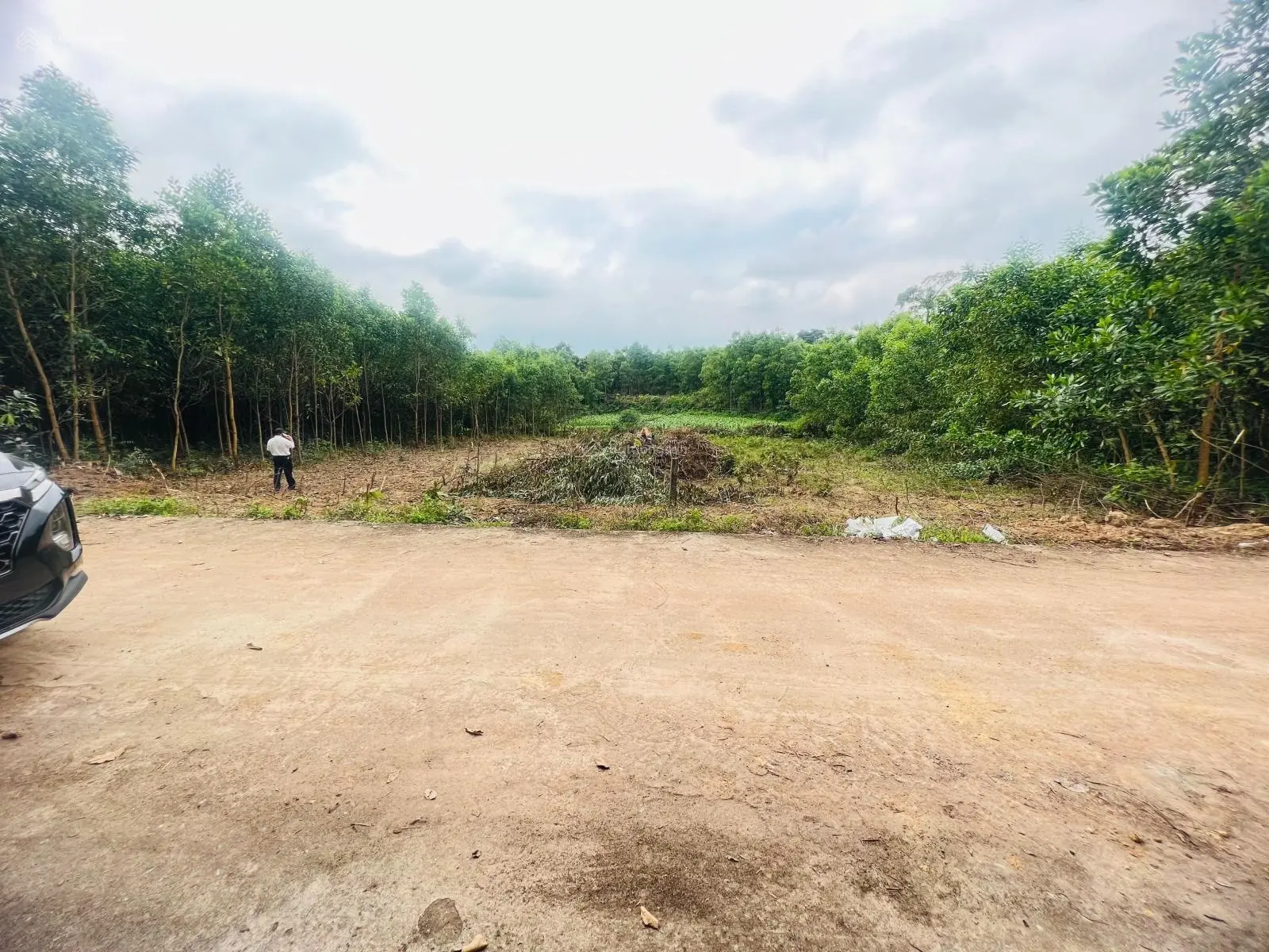900m2 có 180m2 đất ở giá 4.5 tỷ đường 5m cách DT 602, ủy ban xã Hòa Ninh chỉ 200m