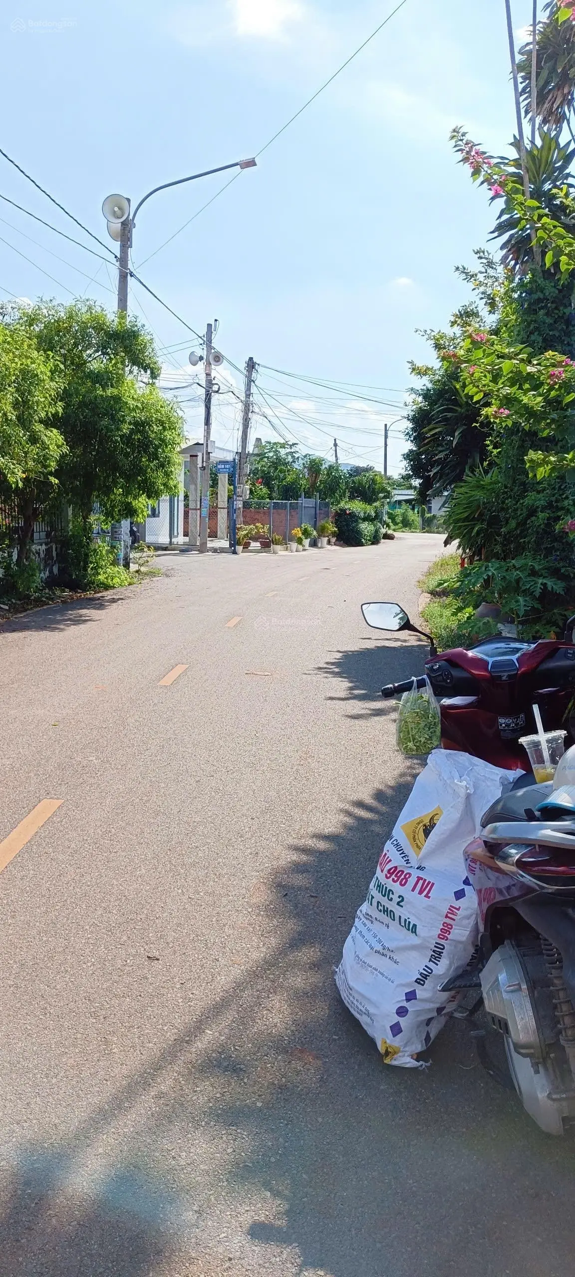 1 tỉ 150tr sở hữu ngay lô đất đẹp mt đg Phan Đăng Lưu trung tâm thị trấn Đất Đỏ, ở và kinh doanh to