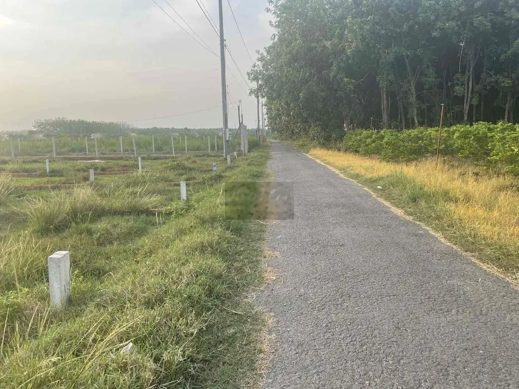 Cần bán gấp đất xã Tân Bình , TP.Tây Ninh
