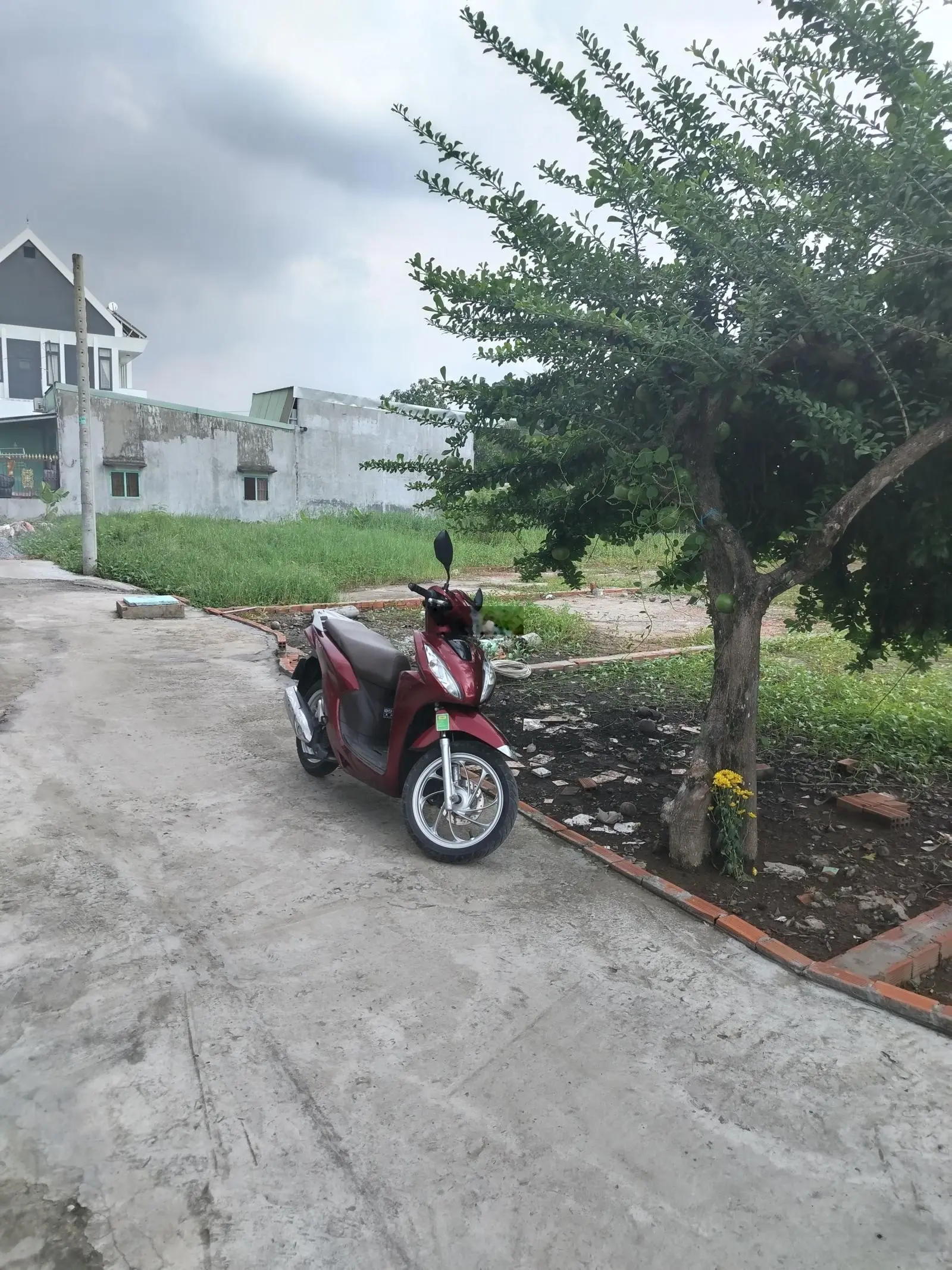Bán đất giá 2,55 tỷ VND tại đường Trịnh Như Khuê, Bình Chánh