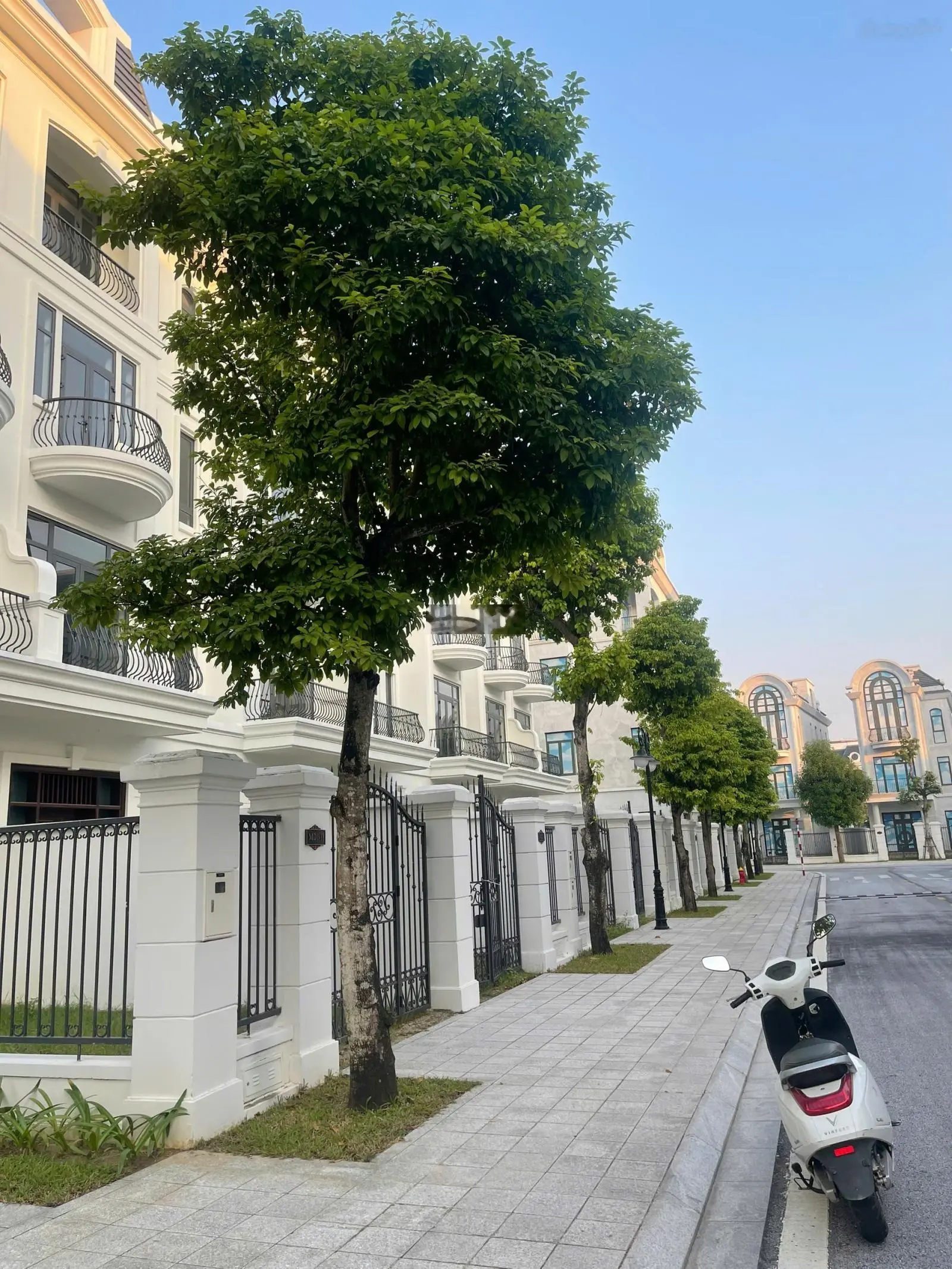 Chính chủ bán căn biệt thự đơn lập phân khu mẫu đơn Vinhomes Star City Thanh Hóa