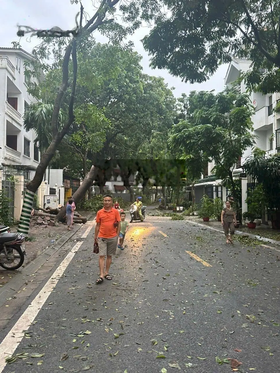 Bán cắt lỗ lô Biệt thự liền kề Long Biên - Khu Nhà vườn- Khu đô thị Việt Hưng
